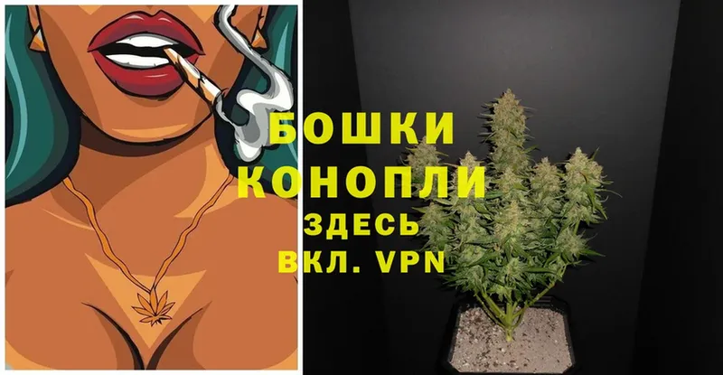 как найти наркотики  ОМГ ОМГ маркетплейс  Шишки марихуана SATIVA & INDICA  маркетплейс наркотические препараты  Новозыбков 